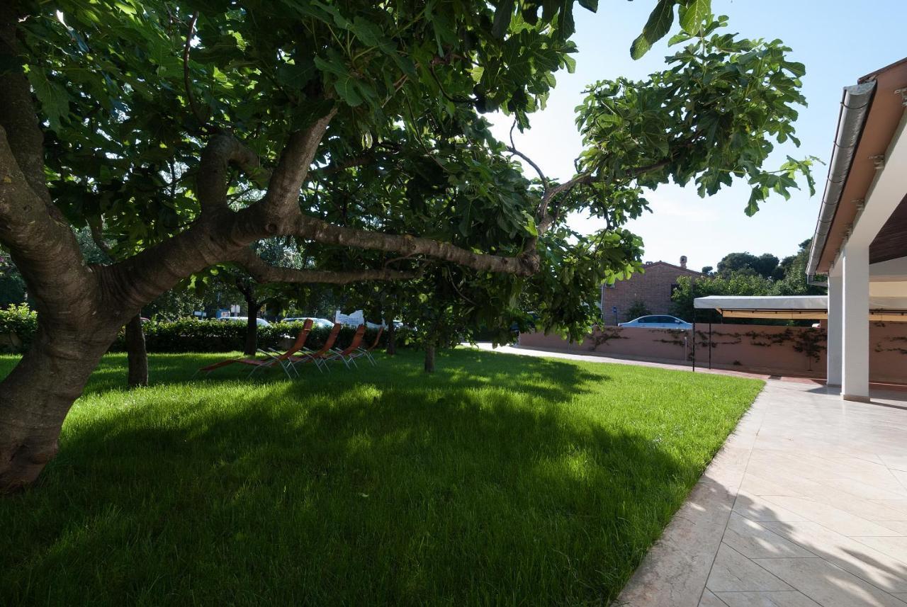 Weis Apartments 로비니 객실 사진